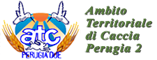 ATC Perugia 2.it