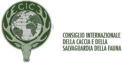 Logo CIC Italia