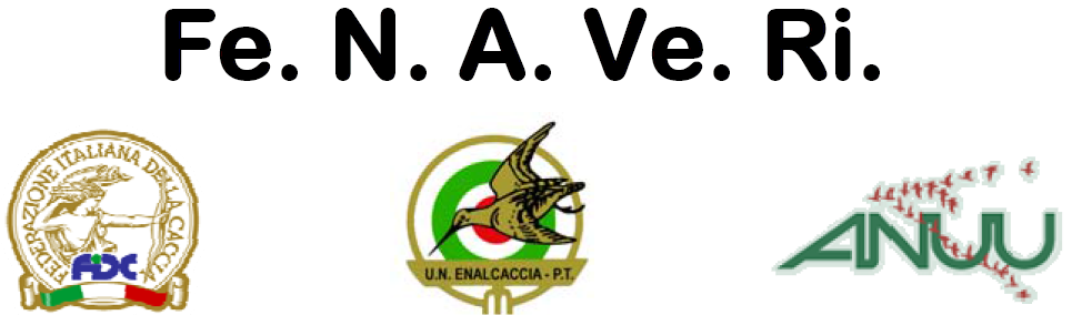 Logo FENAVERI