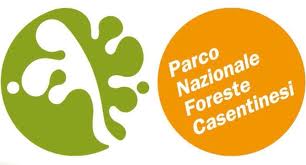 Parco Nazionale Foreste Casentinesi_it.jpg