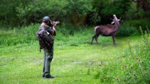 La crisi della biodiversità