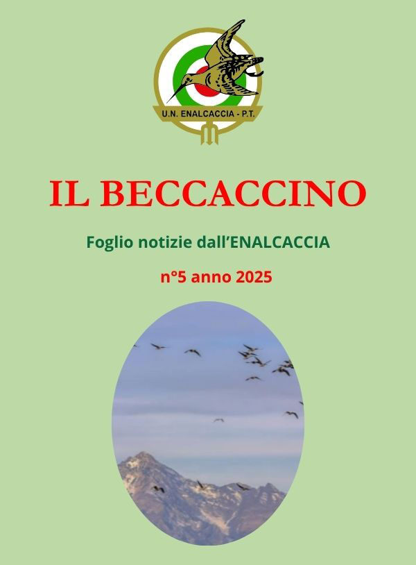 Il Beccaccino nr. 5 – 2025