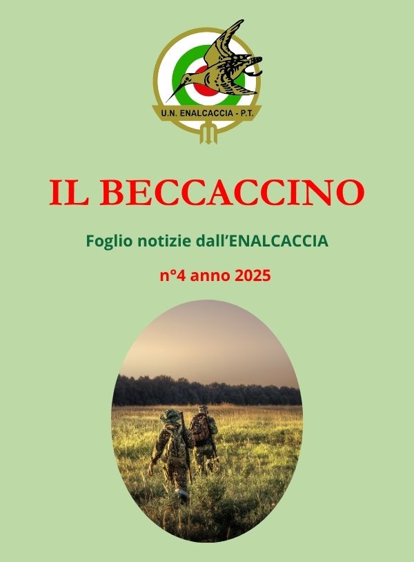 Il Beccaccino nr. 4 – 2025