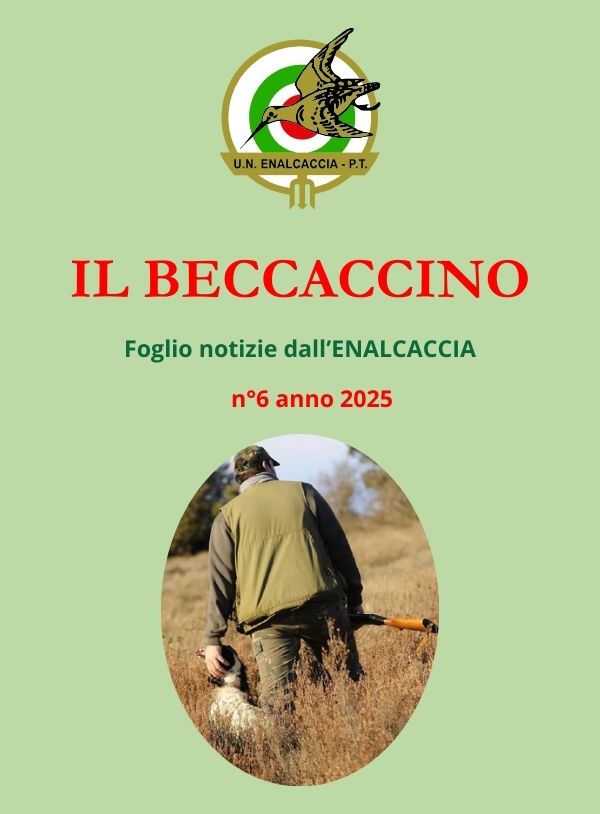 Il Beccaccino nr. 6 – 2025