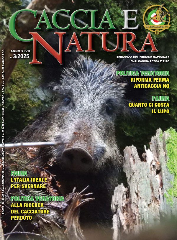 Caccia e Natura nr. 3 – 2025