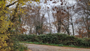 Ordinanza TAR del Veneto N. 00079/2026