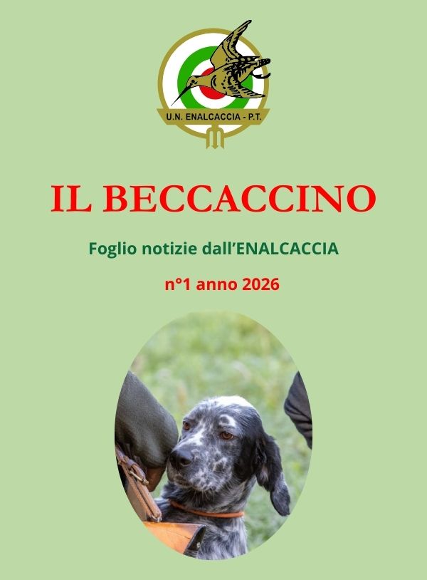 Il Beccaccino nr. 1 – 2026