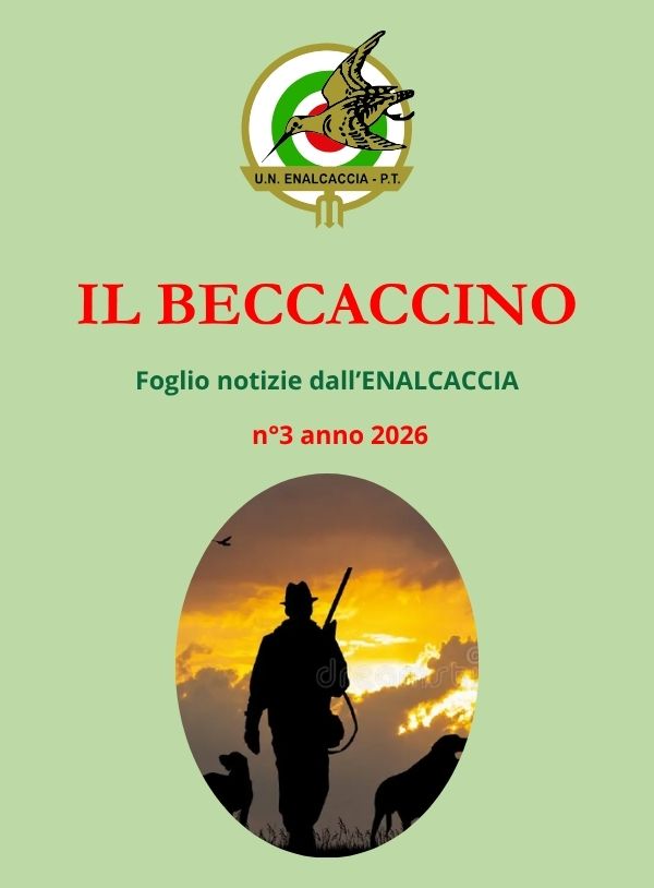 Il Beccaccino nr. 3 – 2026