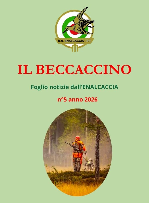 Il Beccaccino nr. 5 – 2026