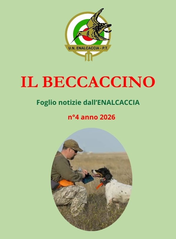Il Beccaccino nr. 4 – 2026