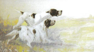 Prova attitudinale su quaglie 17 Maggio 2026 – Rigutino di Arezzo (Ar)