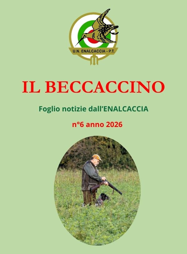 Il Beccaccino nr. 6 – 2026