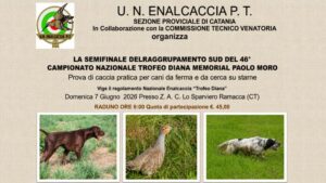 Prova di caccia pratica per cani da ferma e da cerca su starne