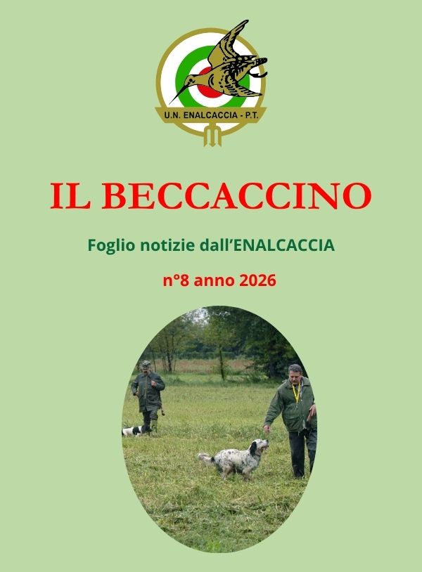 Il Beccaccino nr. 8 – 2026