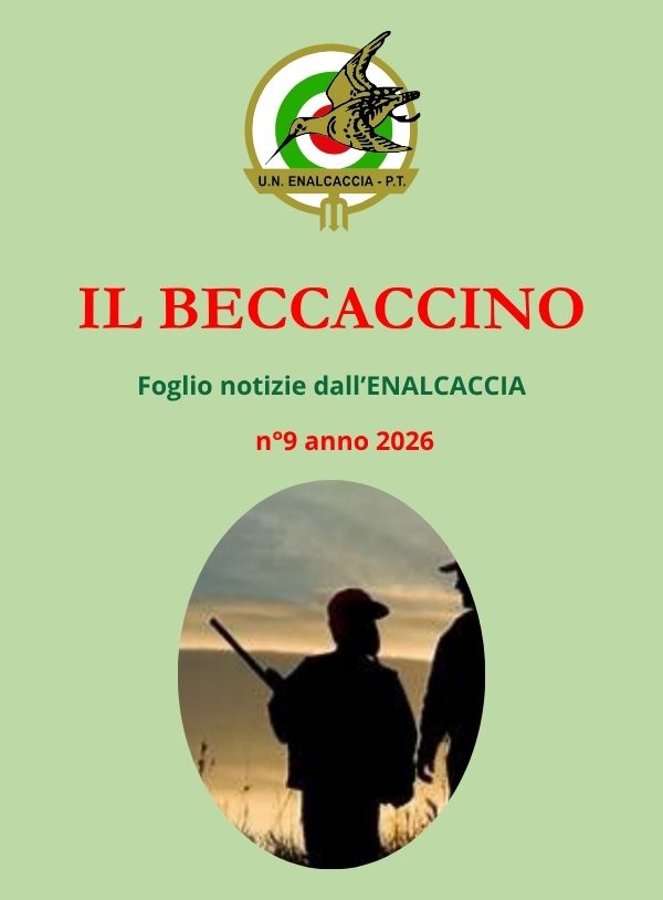 Il Beccaccino nr. 9 – 2026