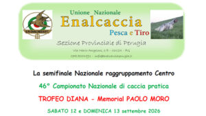 Semifinale Nazionale raggruppamento Centro 46 Campionato Nazionale di Caccia Pratica