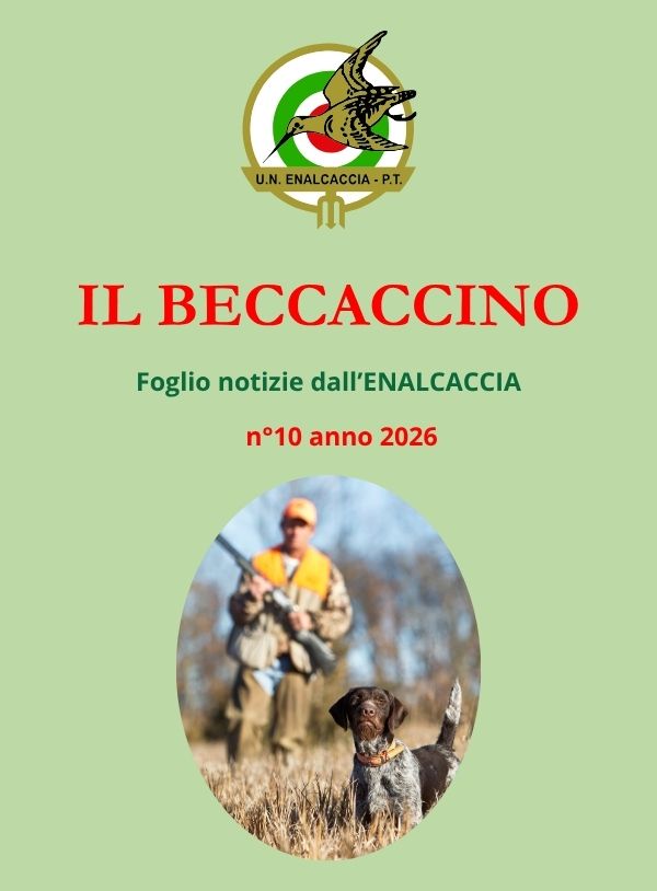 Il Beccaccino nr. 10 – 2026