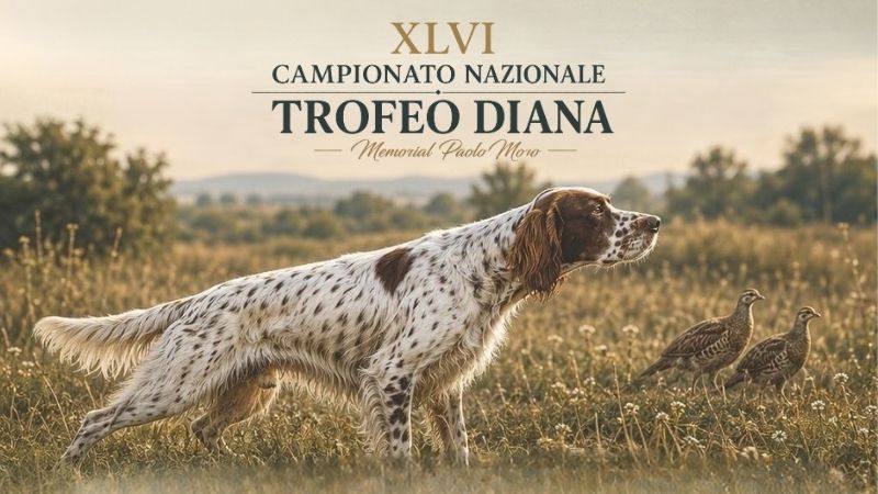 Finale XLVI Campionato Nazionale Trofeo DIANA Memorial Paolo Moro